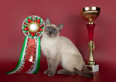 �������� ����� '������� ���-�����' 30 ������-1 ������� 2013� 149_best1-2_IMG_4468 copy.jpg